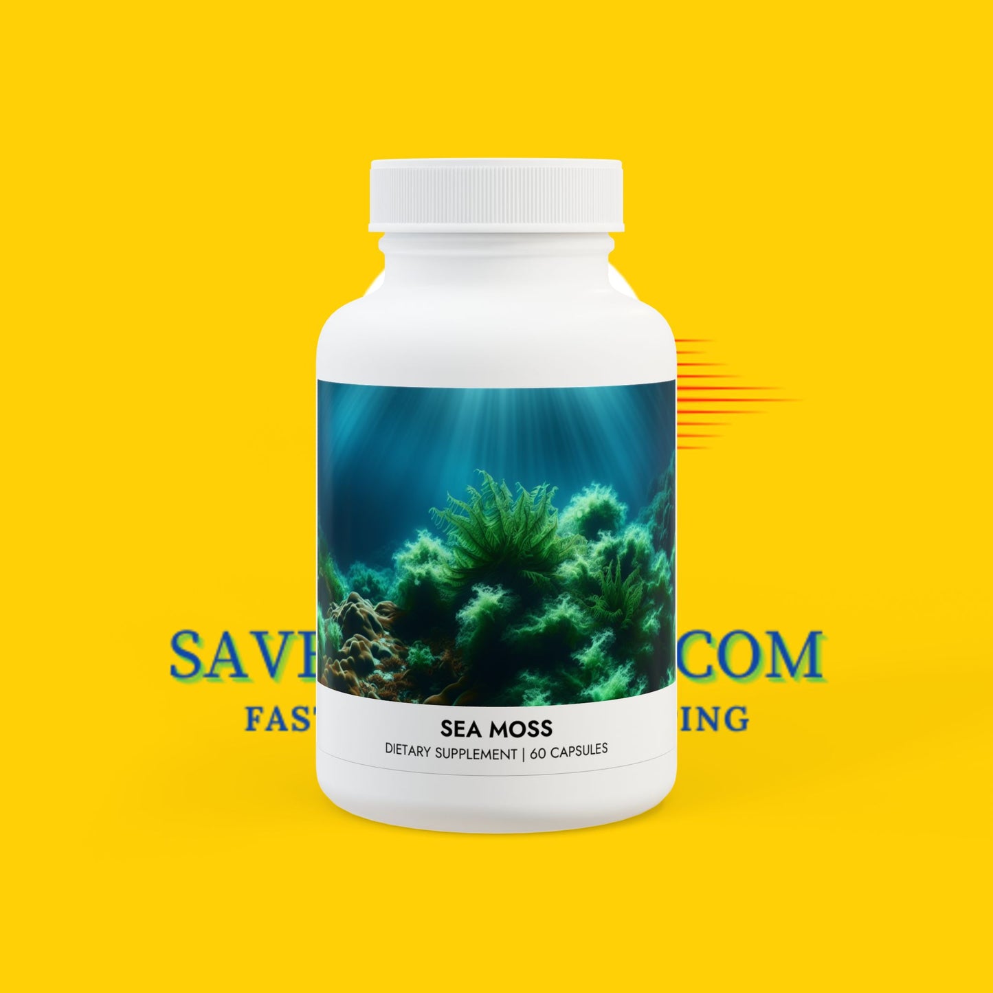 Sea Moss Supplement (60 Capsules)