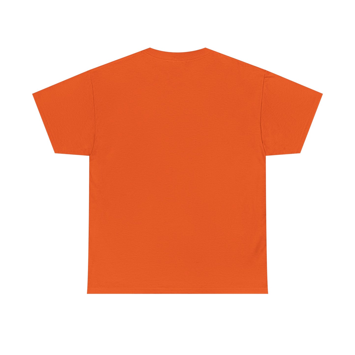 Diddler Starter Pack, Unisex Heavy Cotton Tee