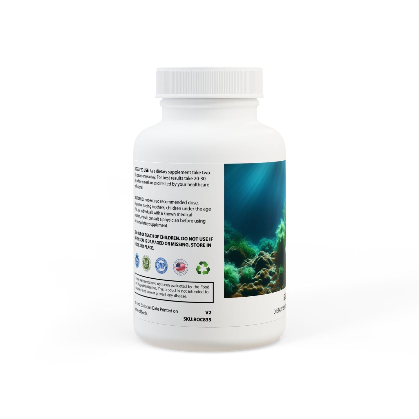 Sea Moss Supplement (60 Capsules)