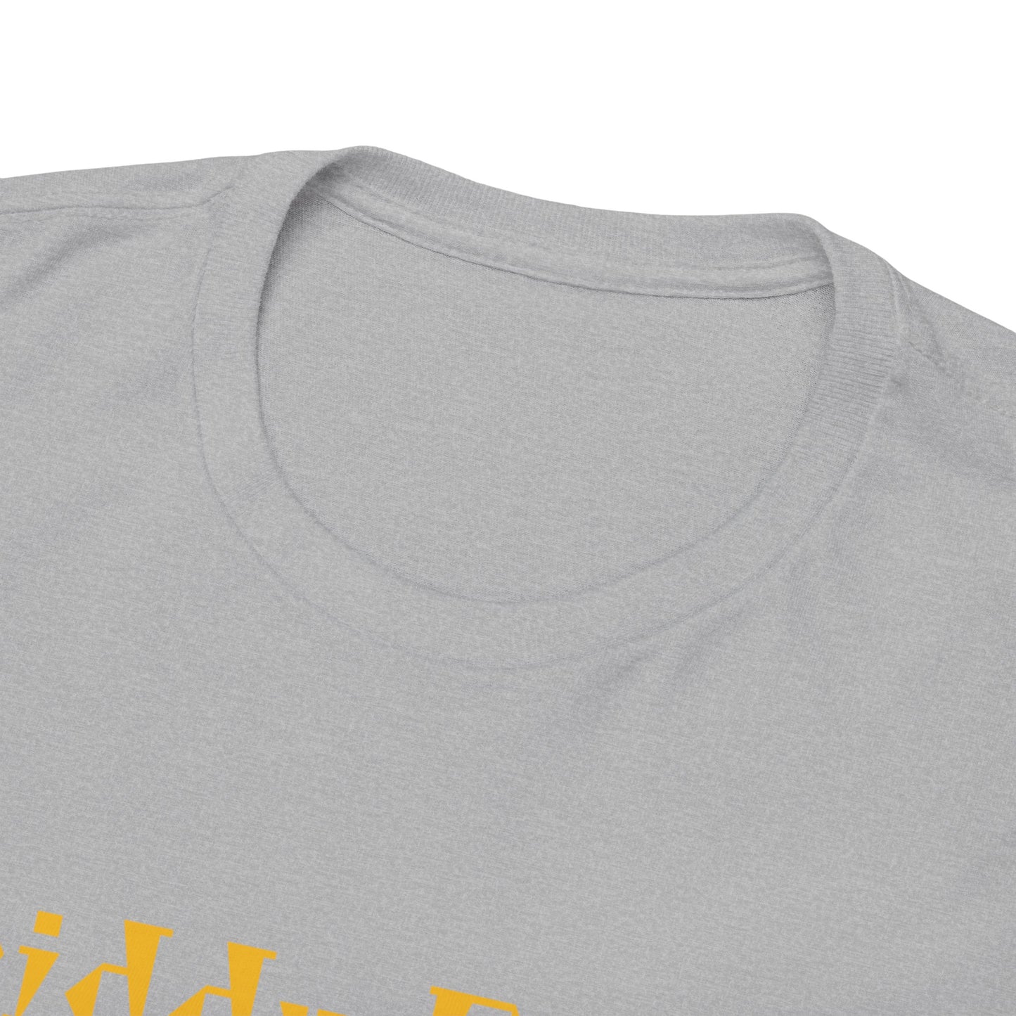 Diddy Do ?, Unisex Heavy Cotton Tee