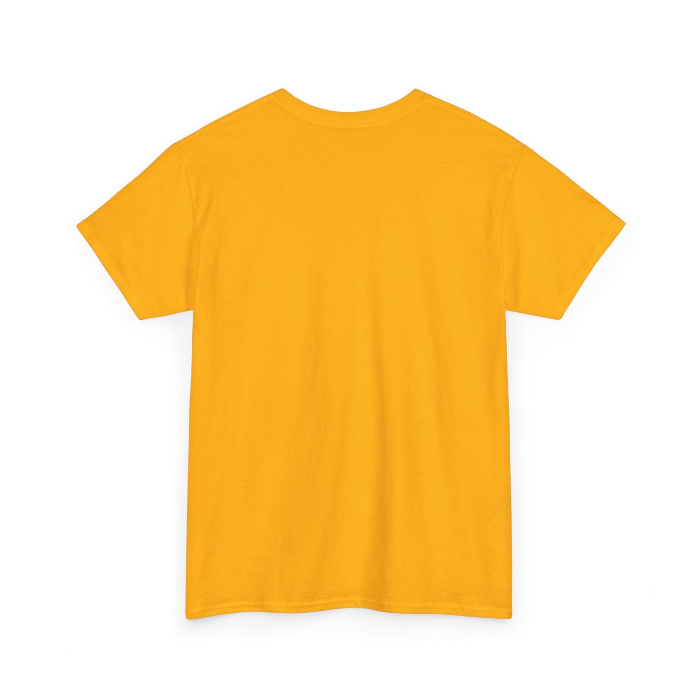 Diddler Starter Pack, Unisex Heavy Cotton Tee