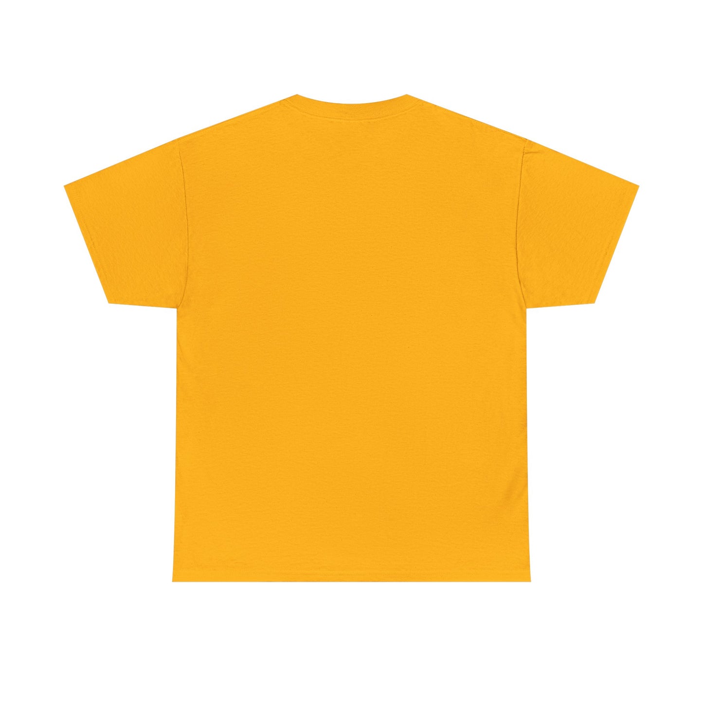 Diddler Starter Pack, Unisex Heavy Cotton Tee