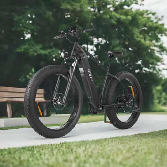 King750 Ebike 750W Electric Mountain Bike